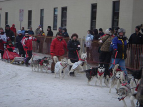 Team NorthWapiti