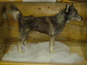 Togo