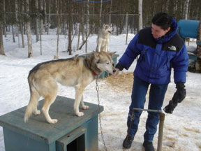 Noel & Friend