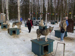 VZIONS Kennel