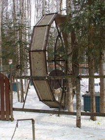 Training Wheel