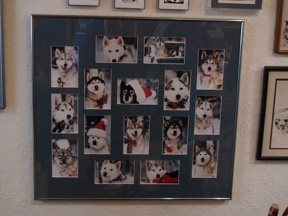 Santa Huskies