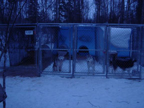 Jill's Kennel