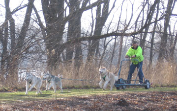 Team Husky Forge