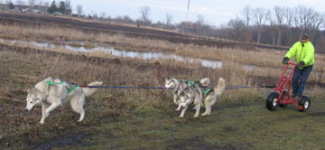 Team Husky Forge