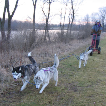 Team SnowQuest