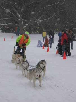Team Husky Forge